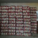 늘푸른 상사 이미지