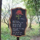 호수공원수변공원 이미지