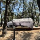 맹방비치캠핑장 이미지