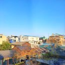 해안로 229번길 이미지