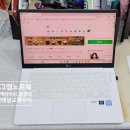 LG<b>그램</b> 14Z980-GA56K 붉은화면, 줄생김현상 노트북 액정...