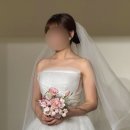 차니빌 | [본식가봉] 디아일 본식가봉 후기 I 미카도실크 I 오간자실크 I 잔잔비즈 드레스 I 본식가봉 꿀팁