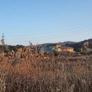 황토현농장 이미지