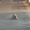 우전슈퍼 이미지