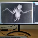 지리산동물병원 이미지