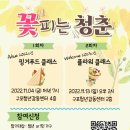 꽃피는청춘