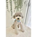 강아지미용실 정독 이미지