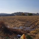 버스정류장 06-133 이미지