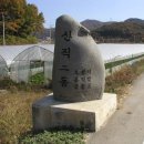 원매노 Daum카페
