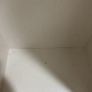 대구 시지 동화아이위시 아파트 이사청소 후기
