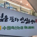농협하나로마트 광교점 네이버블로그