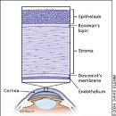 한빛동물병원 이미지