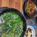 2025년6월14일 어게인청춘 세종시부강 노호카페 진디광장 이미지