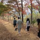도시숲 산책길 이미지