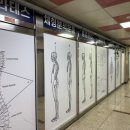 신우엔그룹 | 김해 내외동 라발란스 필라테스 그룹필라테스 추천 체형교정 분석받고온 솔직 후기