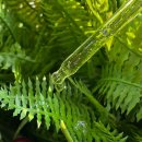 엠티브이5로 이미지