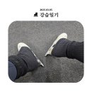 [성인피겨] 강습일지&amp;새 스케이트 후기^^