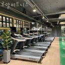로얄피트니스 이미지