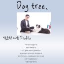도그애견미용실 이미지