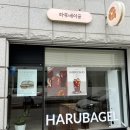 스무숲 | 춘천 스무숲 쌀베이글 맛집 하루베이글 내돈내산 후기 노밀가루