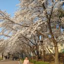 고성 1 공인중개사사무소 이미지