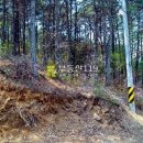 파주시청소년수련장 이미지