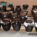 만능효소 이미지