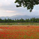 광의사거리 이미지