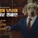 펫플래닛 이미지