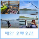 오투 | 태안 해루질, 갯벌체험 가능한 태안낚시펜션 오투오션 후기