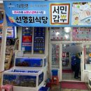 동해 묵호항맛집 물회 곰치탕 맛집 <선명회식당> 회덮밥 후기 | 서민갑부