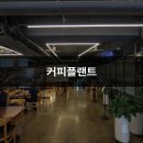 언주초등학교 | 커피플랜트 양재역 블루리본 커피맛집 카페 추천