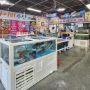 다이버회수산 이미지