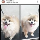 미소짓개 이미지