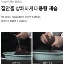 인스네어 이미지