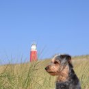 하트민박 이미지