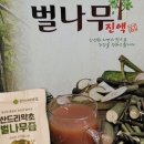 산드리약초 이미지