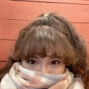 이십구쩜오 이미지