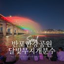 서울개공원 FACTORY | 서울 야경 데이트 반포한강공원 무지개분수 명당, 3타임 운영 후기