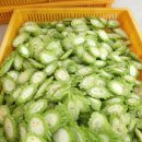 신원여주