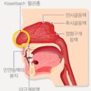서훈태한의원 이미지