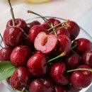 왕체리 | 과즙 팡팡! 고당도 프리미엄 생 체리 해외직송으로 즐기는 왕체리의 유혹 🍒✨