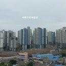 화성시청 축구장 이미지