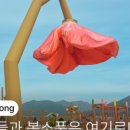 황룡시장마트
