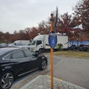 도기스쿨 | &#39;산책가자 진돗개야&#39; 진돗개 산책 퍼레이드 후기 (24.11.17)