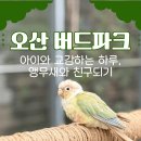 아이플러스 태권도(오산점) | 오산버드파크 완벽 정리｜🐦앵무새 먹이주기·할인 예매·주차 팁까지!