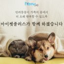 ㈜마이펫 이미지