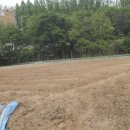 운중체육공원2 이미지