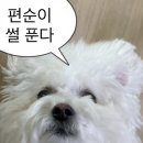 지에스(GS25) 편의점 알바 후기 : 일하다가 심심해서 쓴 9개월차 편순이 찐후기