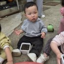 새장유어린이집 이미지